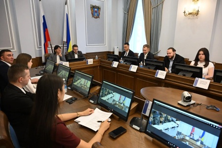 «Берег мнений» ждет гостей: молодые парламентарии Дона и Мурманска обсудили совместные проекты