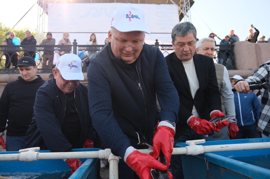 И. Мартынов: принцип «поймал — отпусти» продолжает действовать и нести пользу экосистеме Волги