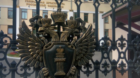 19 инициатив за созыв: как депутаты ГД и прокуратура РФ совершенствуют законодательство
