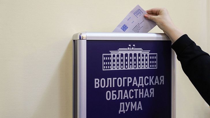 Цифра дня: 206 обращений поступило в парламент Волгоградской области, 126 — через интернет
