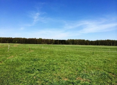 Росреестр предложил запретить продажу земли с воинскими захоронениями